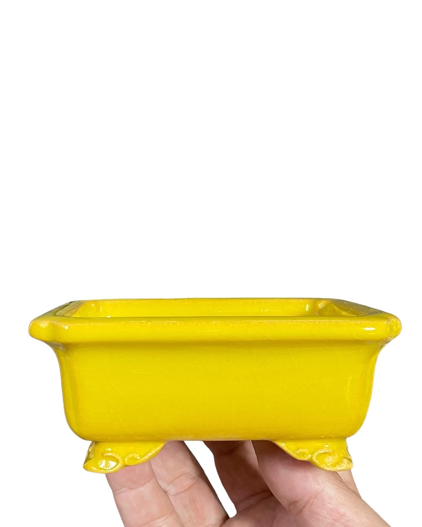Shozan - Yellow Glazed Bonsai Pot with Cloud Feet (4-1/16” wide)