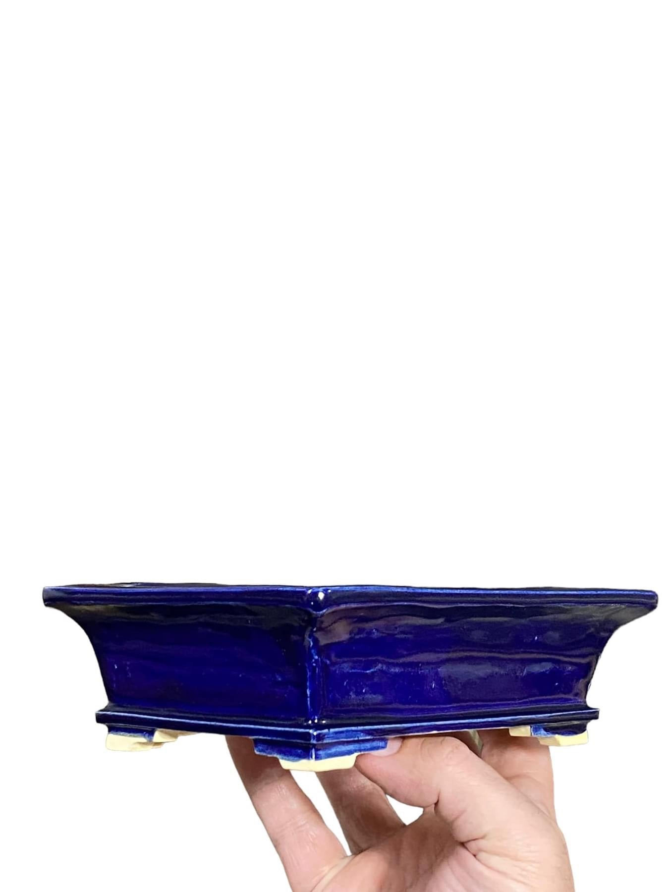 Fukuda Keiun - Royal Blue Glazed Rectangle Bonsai Pot