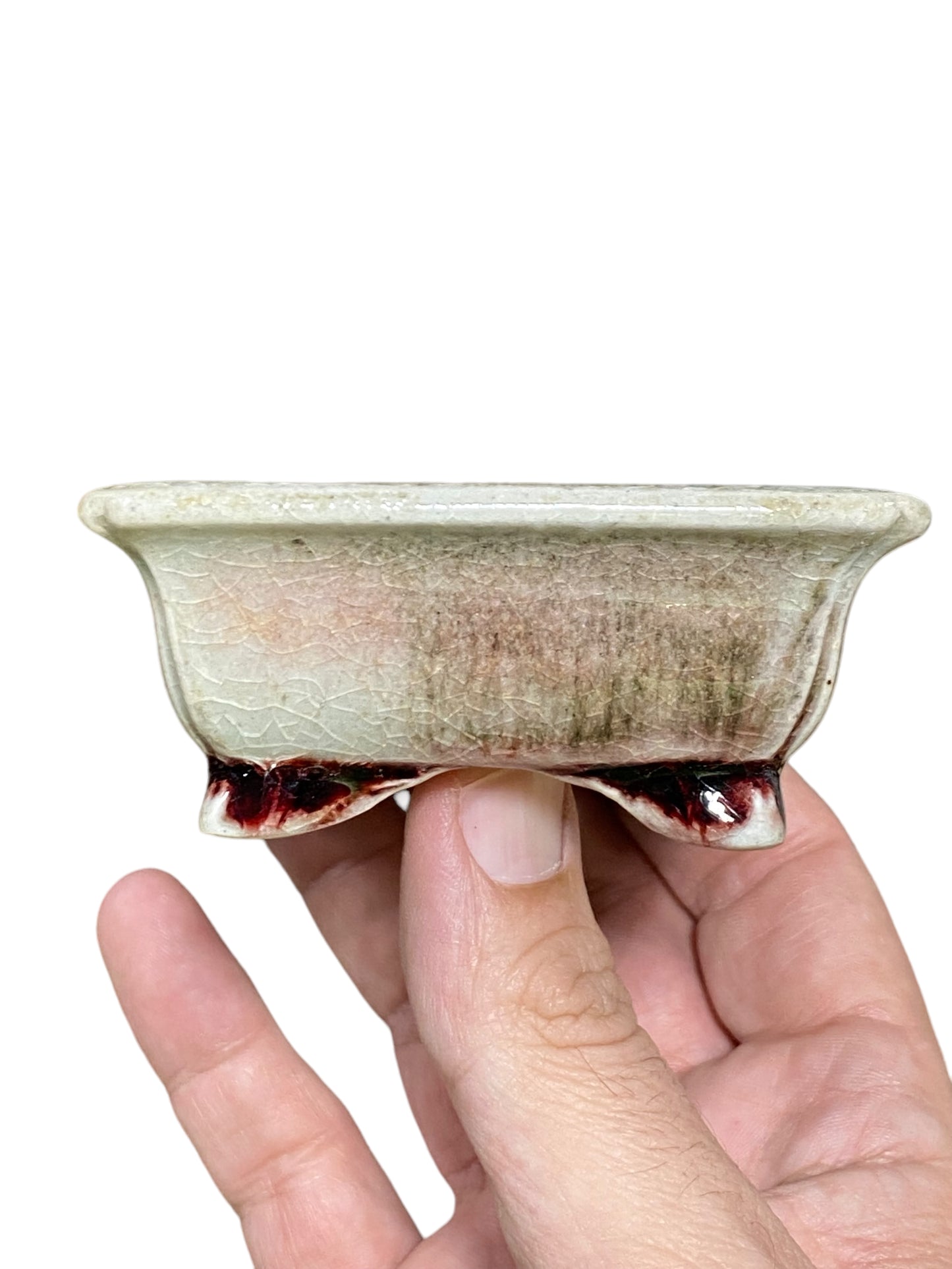 Koyo - Stellar Glazed Shohin Rectangle Bonsai Pot