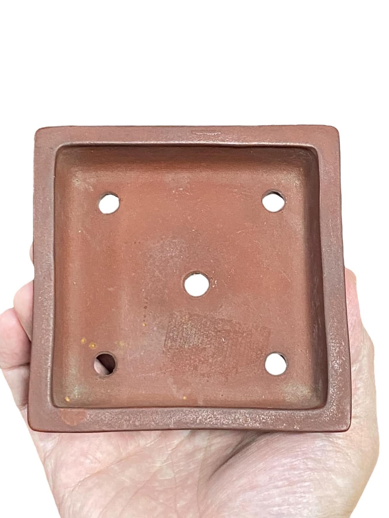 Senkouen - Stellar Square Bonsai or Accent Pot (4-1/2" wide)