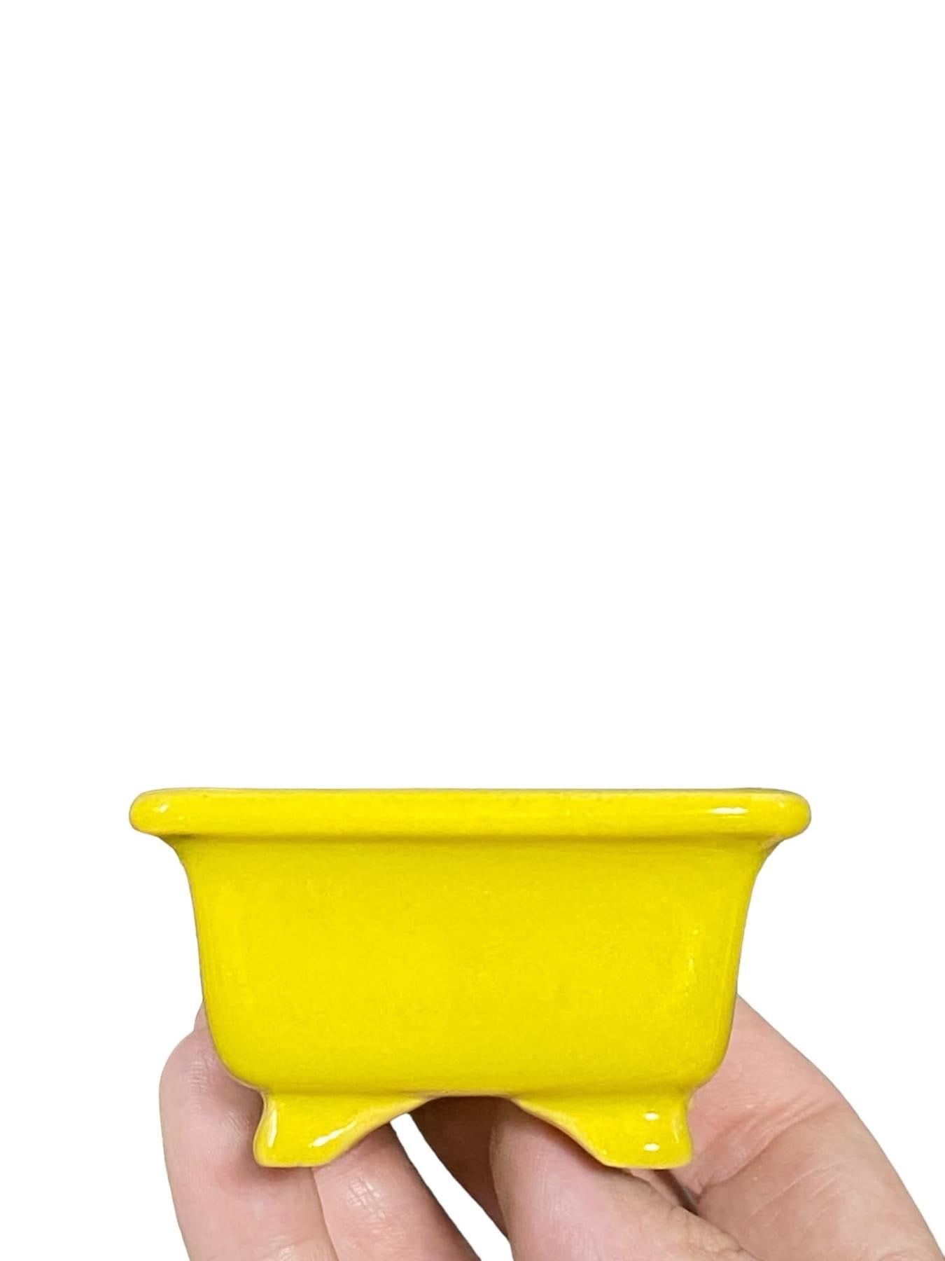 Shozan - Yellow Glazed Footed Rectangle Bonsai Pot (3-1/2” wide)