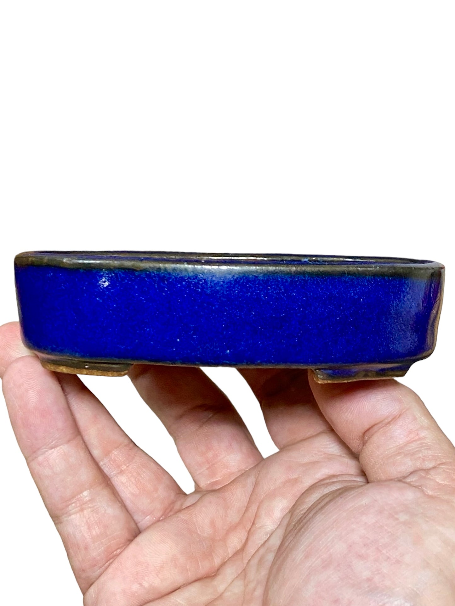 Hattori - Rare Older Blue Oval Bonsai Pot
