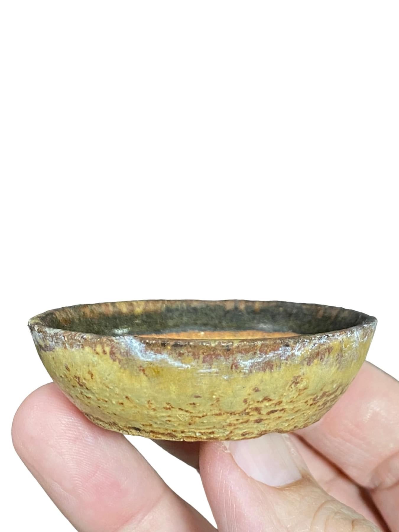 Japanese - Glazed Bonsai Pot with Patina (2-3/8" wide)