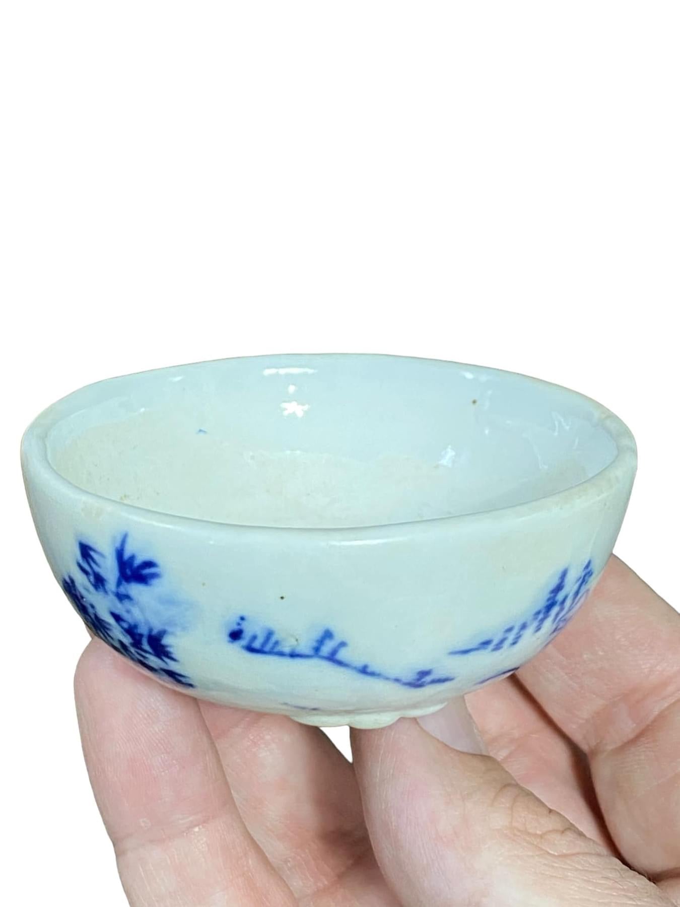 Painted Bonsai or Accent Pot from China
