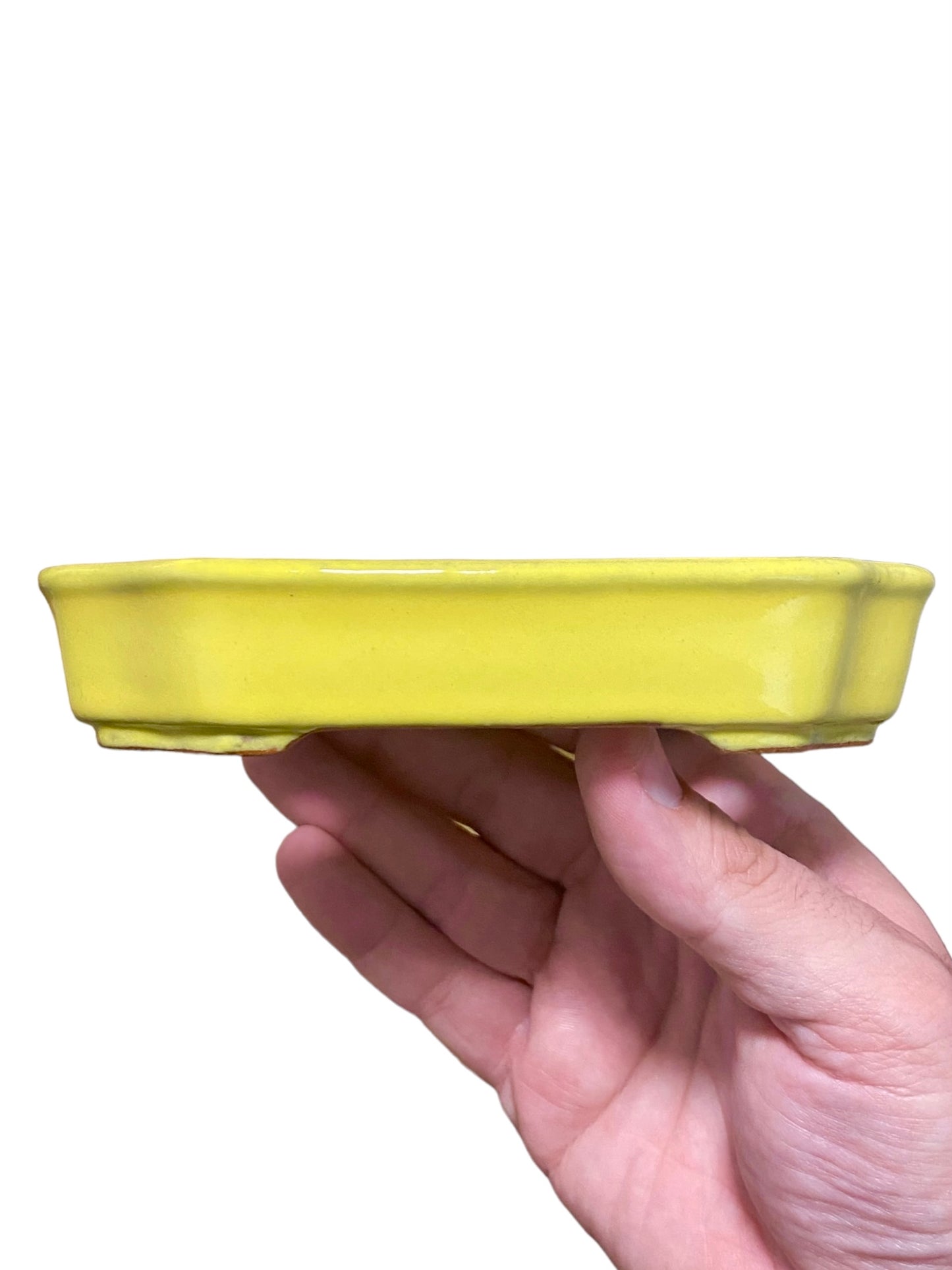 Ikko - Yellow Glazed Mokko Style Bonsai or Accent Pot (5-7/8” wide)