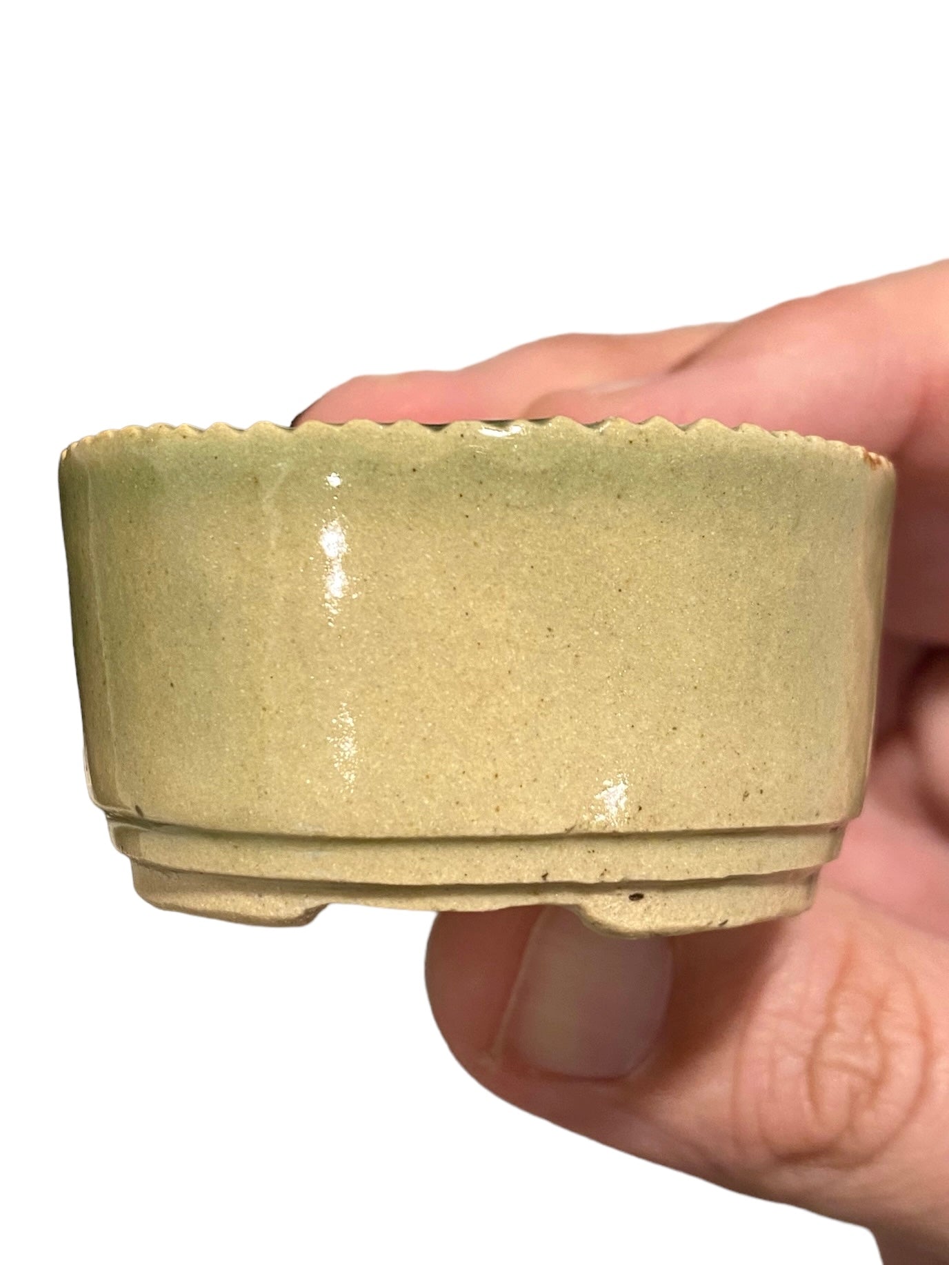 Takudo - Glazed Turtle Mame Bonsai or Accent Pot