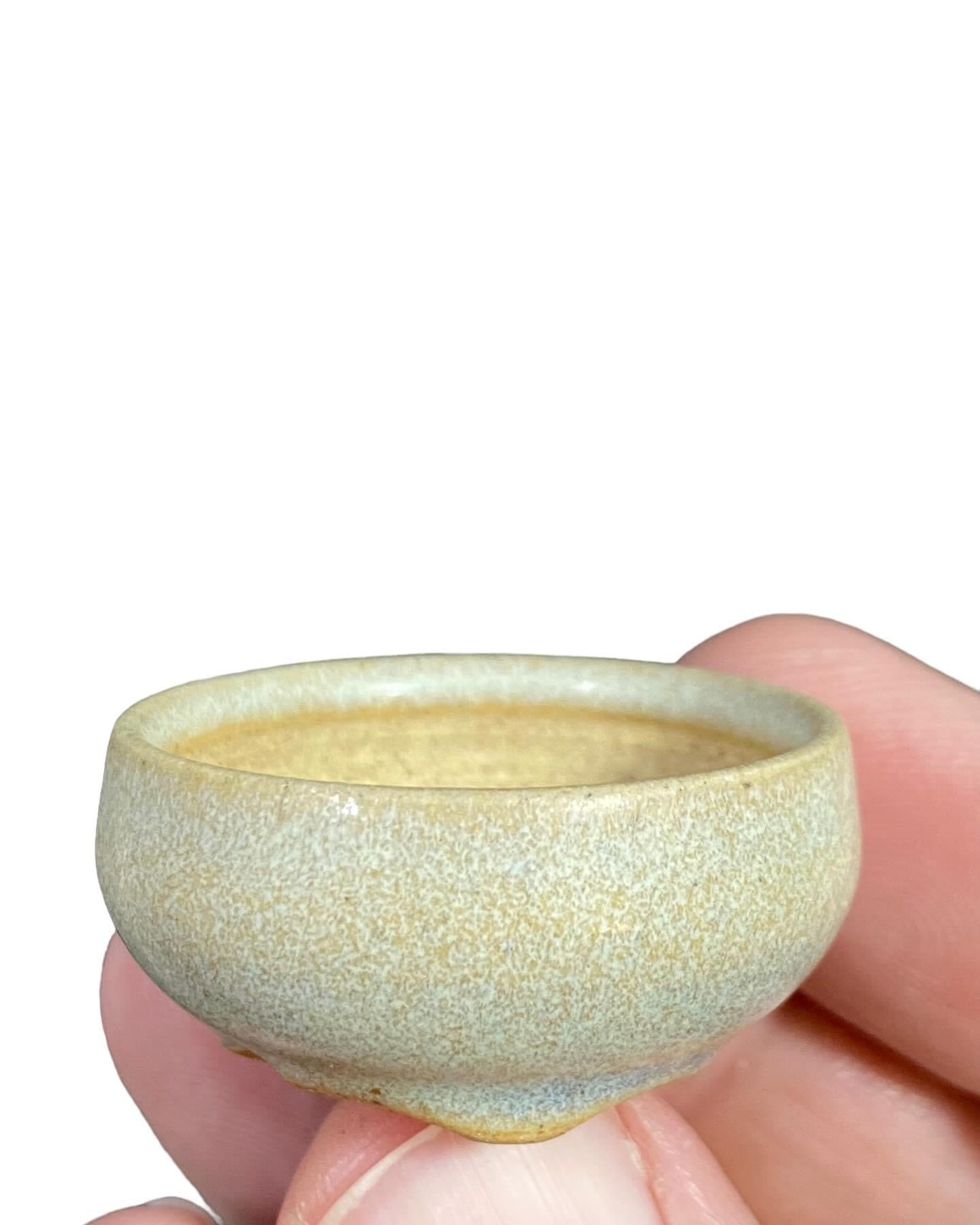 Isso - Fantastic Namaco Glazed Bonsai or Accent Pot (1-7/16” wide)