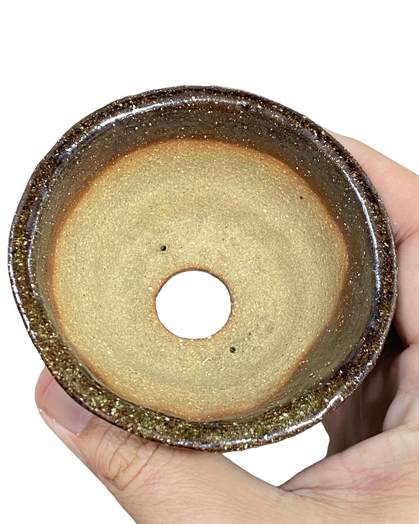 Kotobuki - Brilliant Brown Namako Glazed Bonsai Pot (3-7/16” wide)