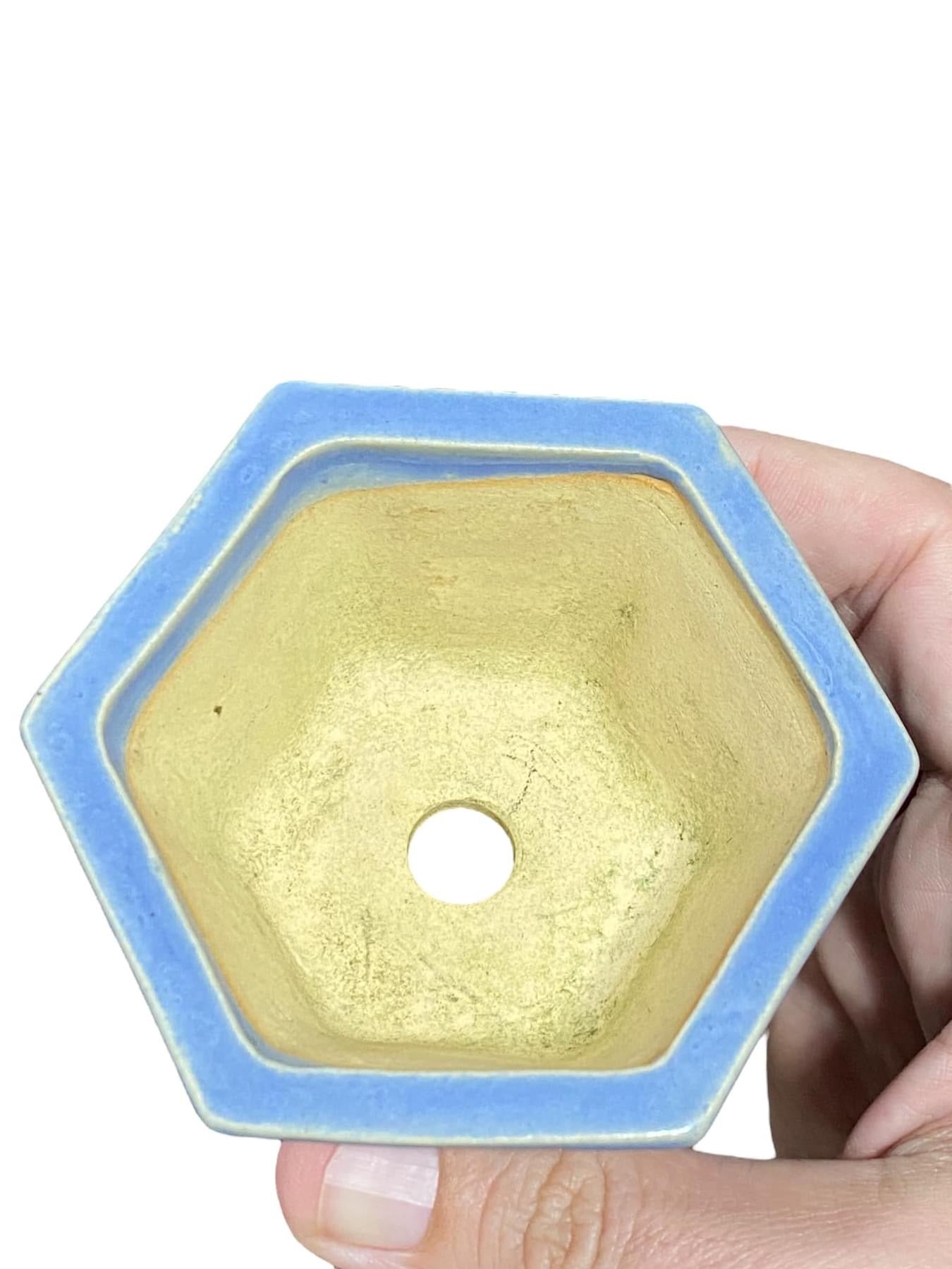 Ikegami - Light Blue Glazed Hexagon Bonsai Pot
