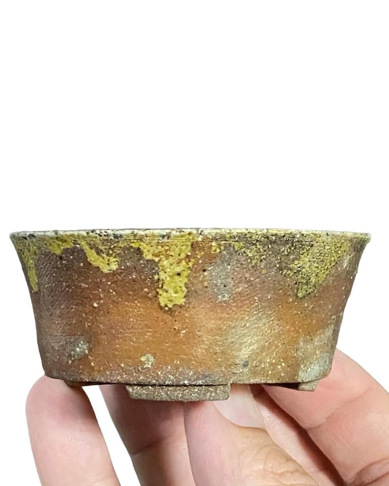 Bizen Yoshihiro - Rare, Old and High Quality Bonsai Pot (3-3/16” wide)