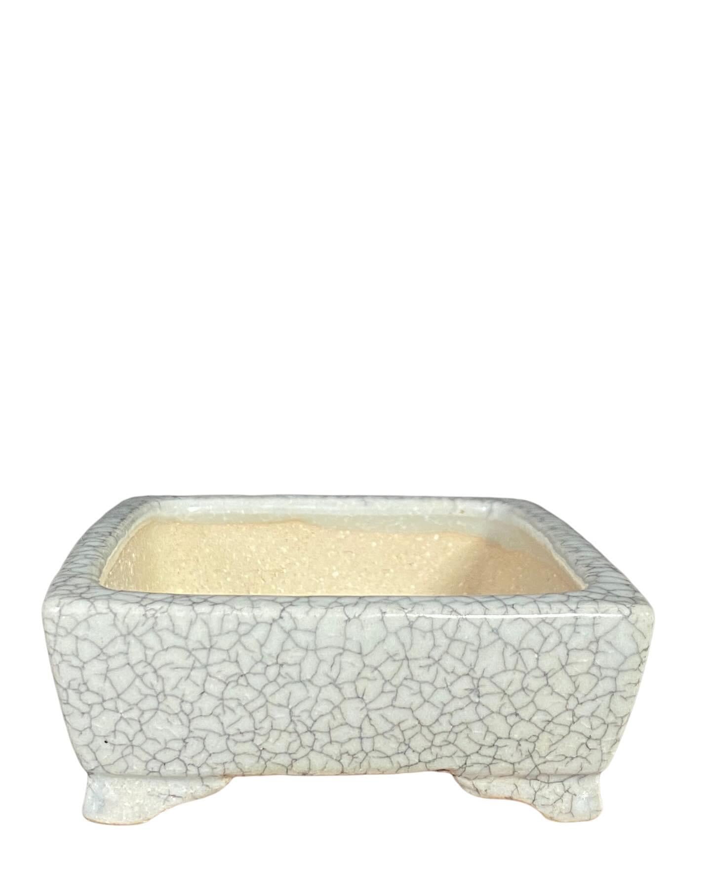 Shibakatsu - White Crackle Glazed Rectangle Style Bonsai Pot (4-15/16” wide)