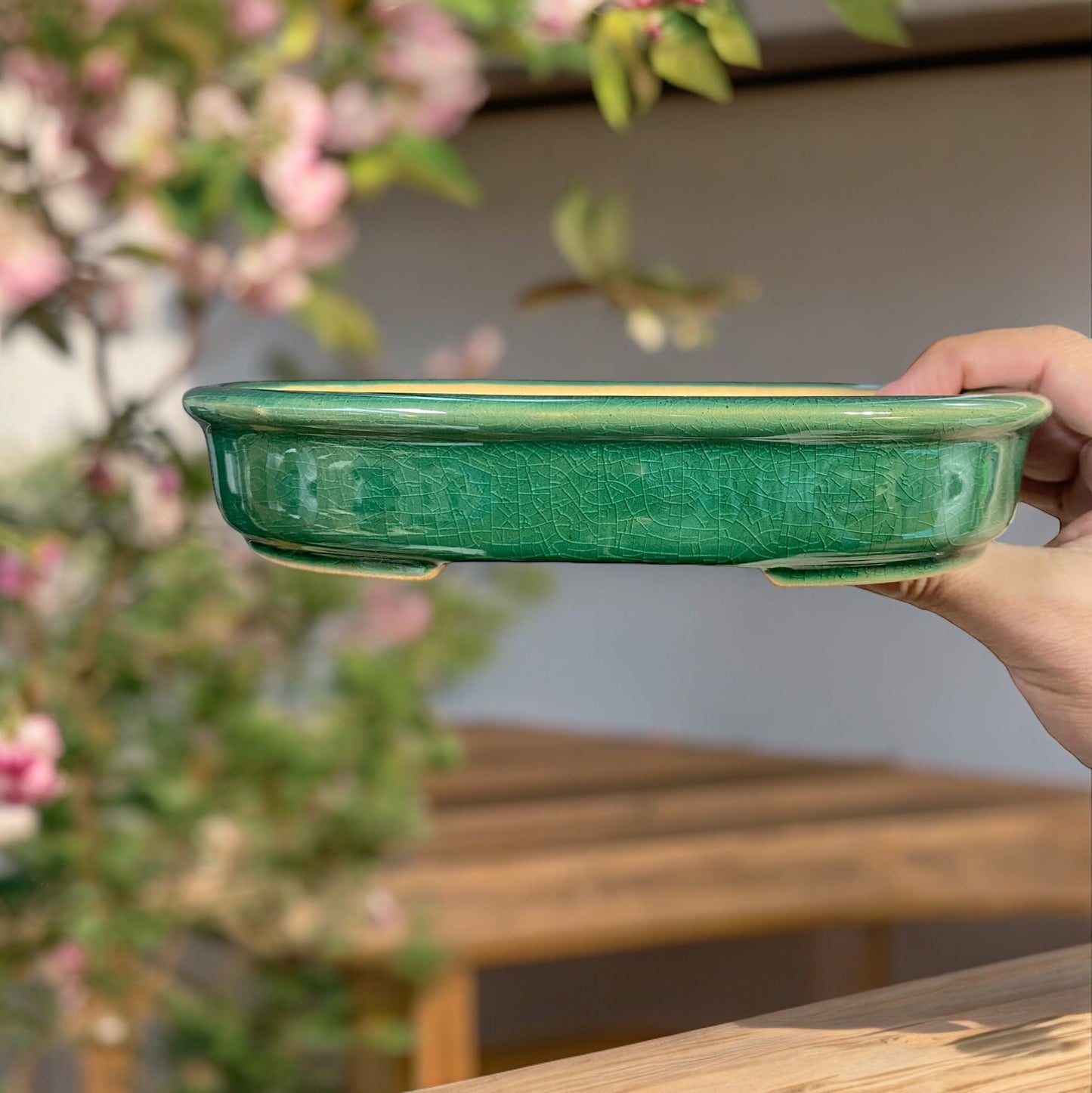 LoveBonsai Glazed Green Oval Bonsai Pot (8-1/2” wide)