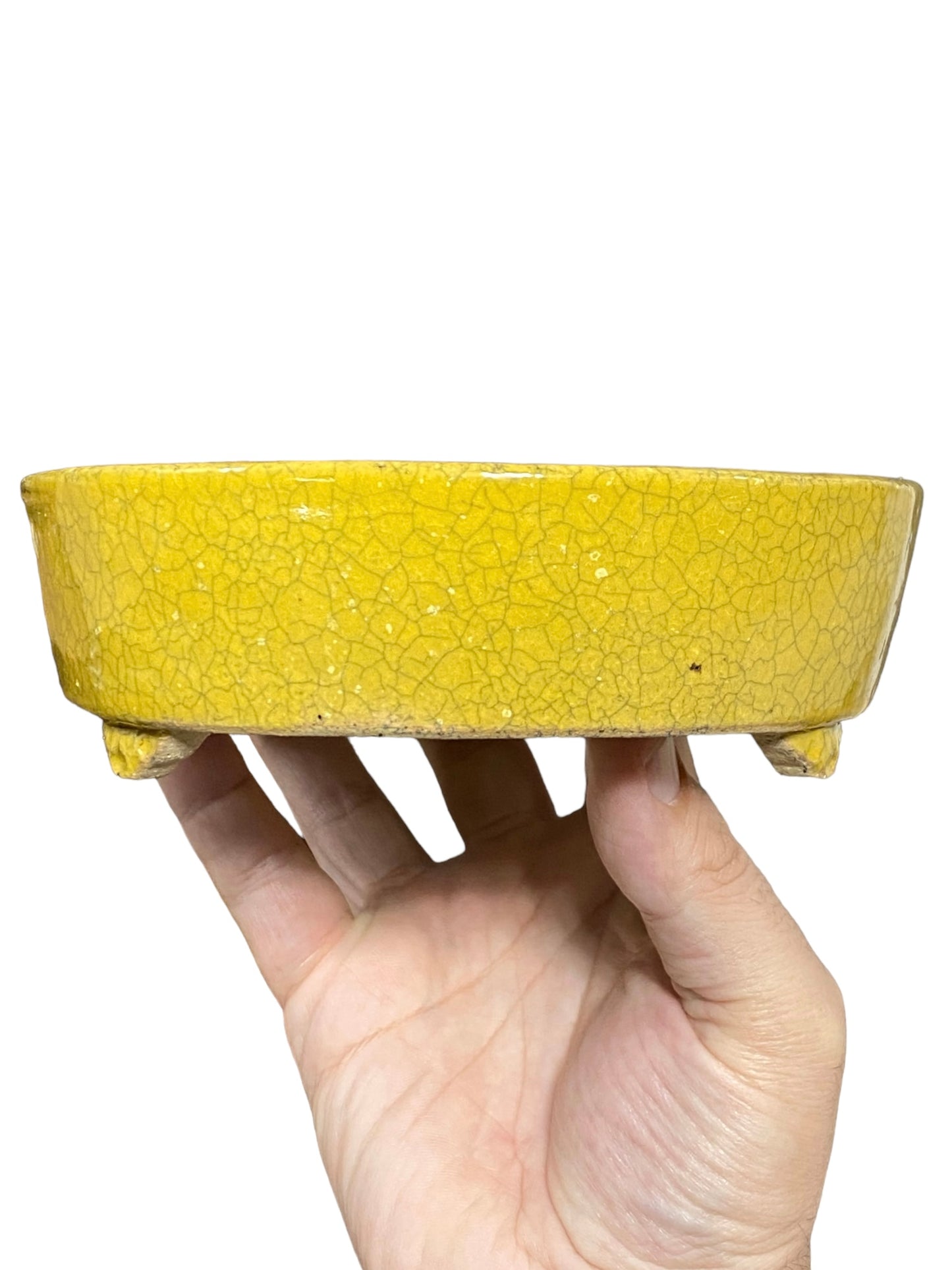 Koyo - Rare Yellow Crackle Glazed Oval Bonsai Pot