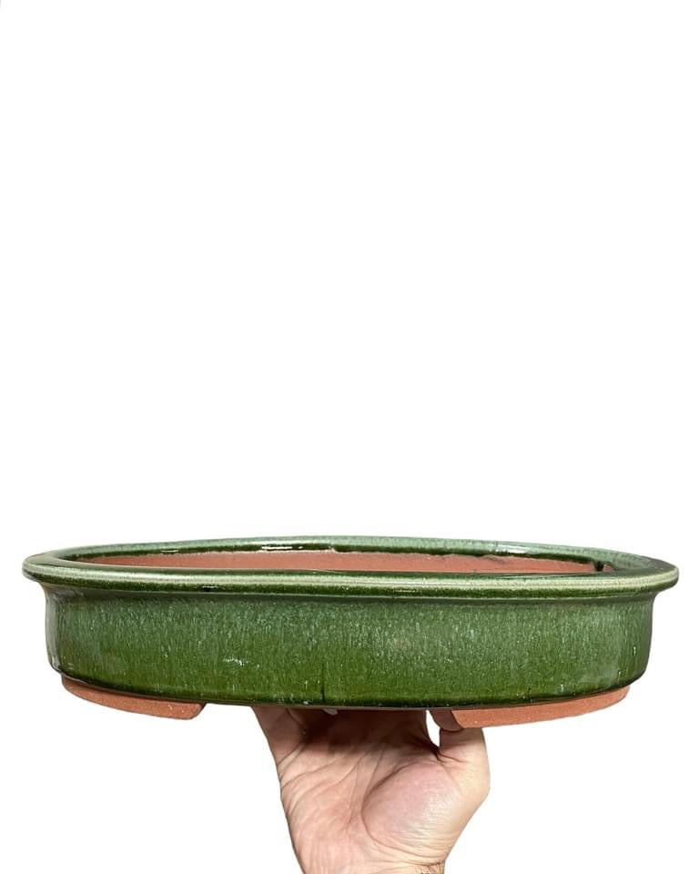 Yozan - Huge and Beautifully Glazed Bonsai Pot (15-5/8 wide)