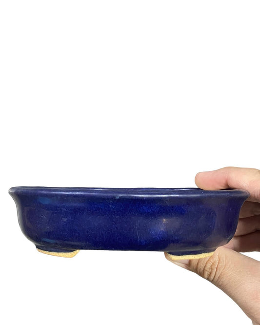 Hattori - Ruri Blue Glazed Oval Bonsai Pot (5-1/2” wide)