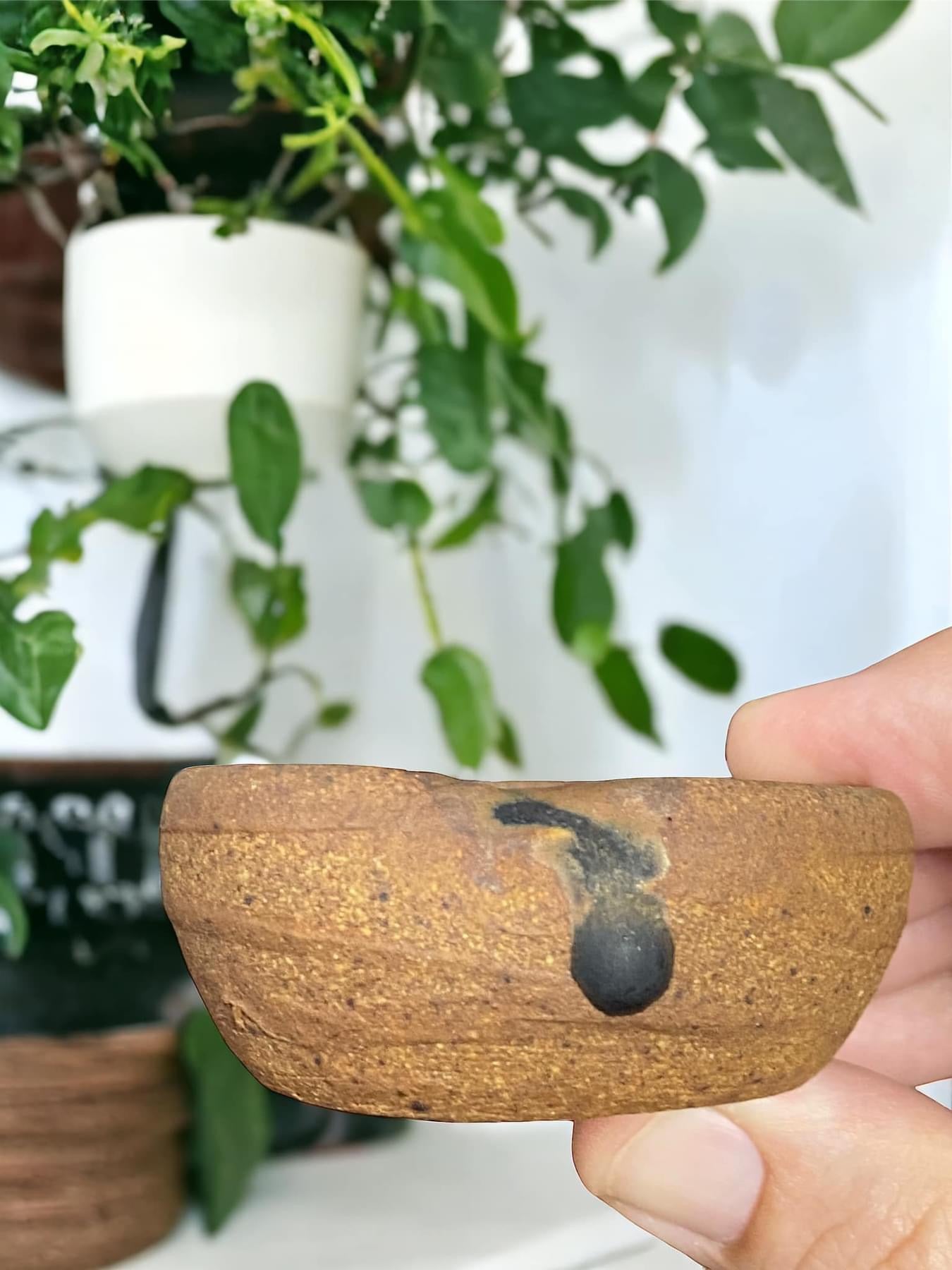Shuho - Mame Round Bonsai Pot