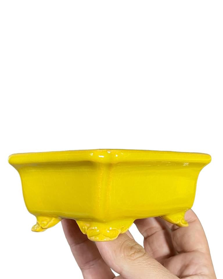 Shozan - Yellow Glazed Bonsai Pot with Cloud Feet (4-1/16” wide)