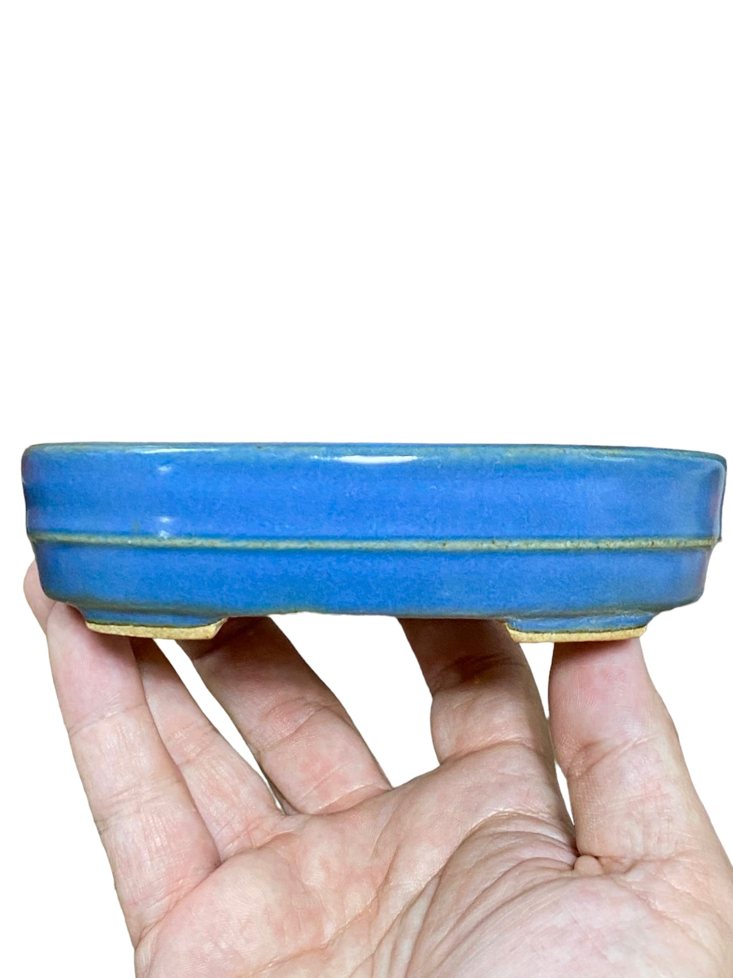 Hattori - Banded Blue Oval Bonsai Pot