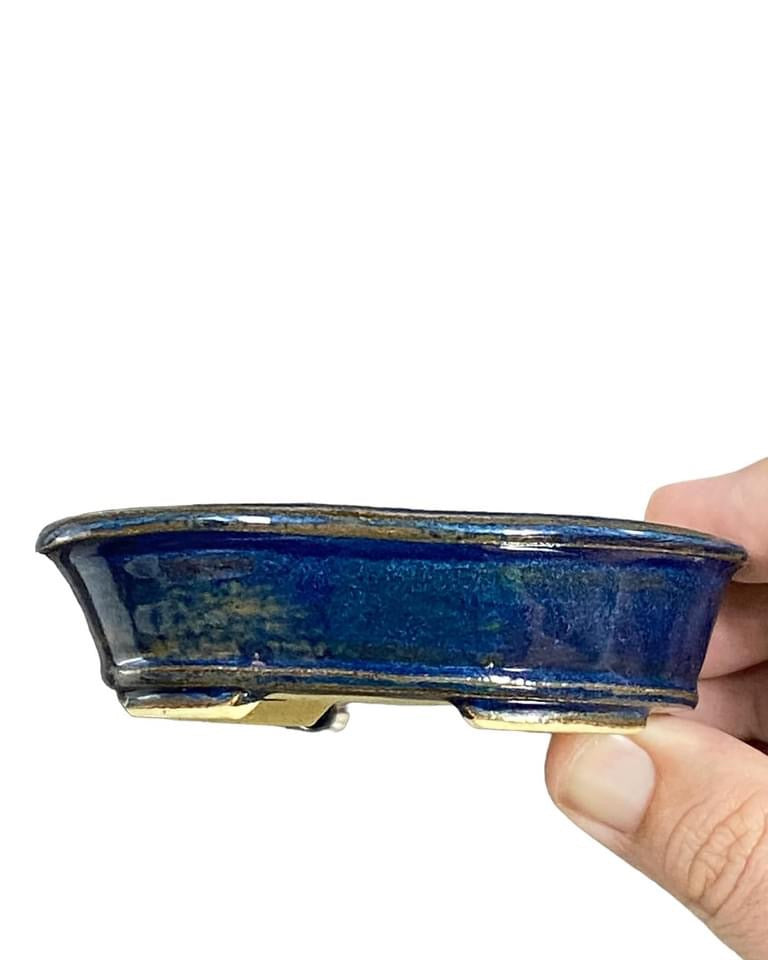 Dokou - Rich Blue Oval Bonsai or Accent Pot (3-5/16” wide)