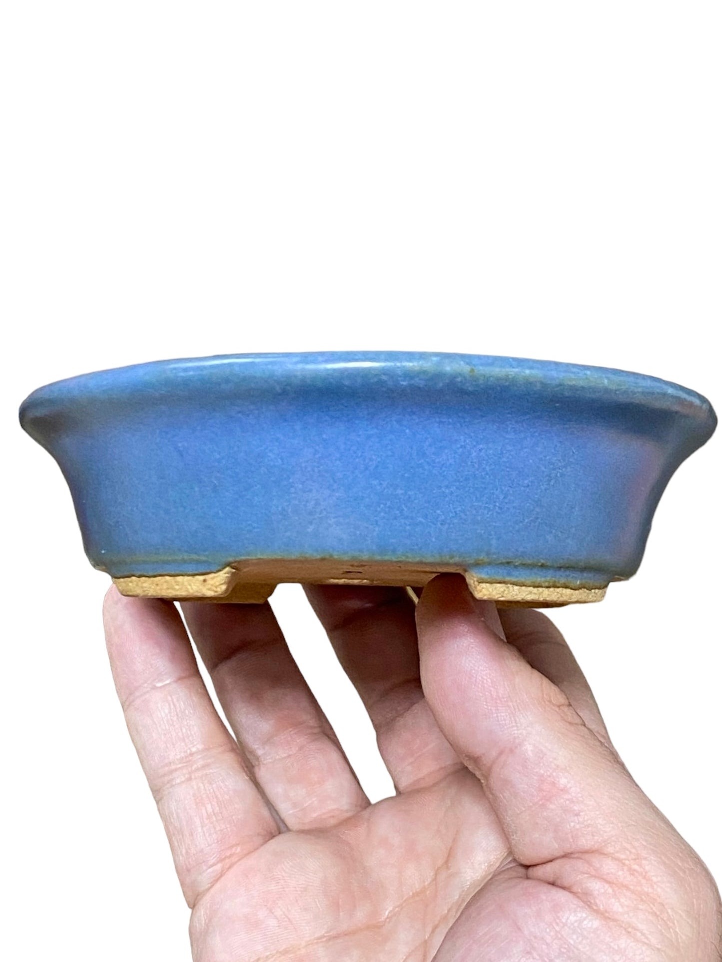 Hattori - Beautiful Blue Oval Bonsai Pot