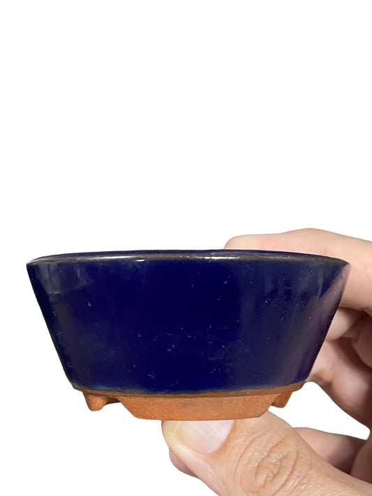Eimei - Rich Ruri Blue Glazed Bonsai Pot (Discounted) (3-1/8” wide)