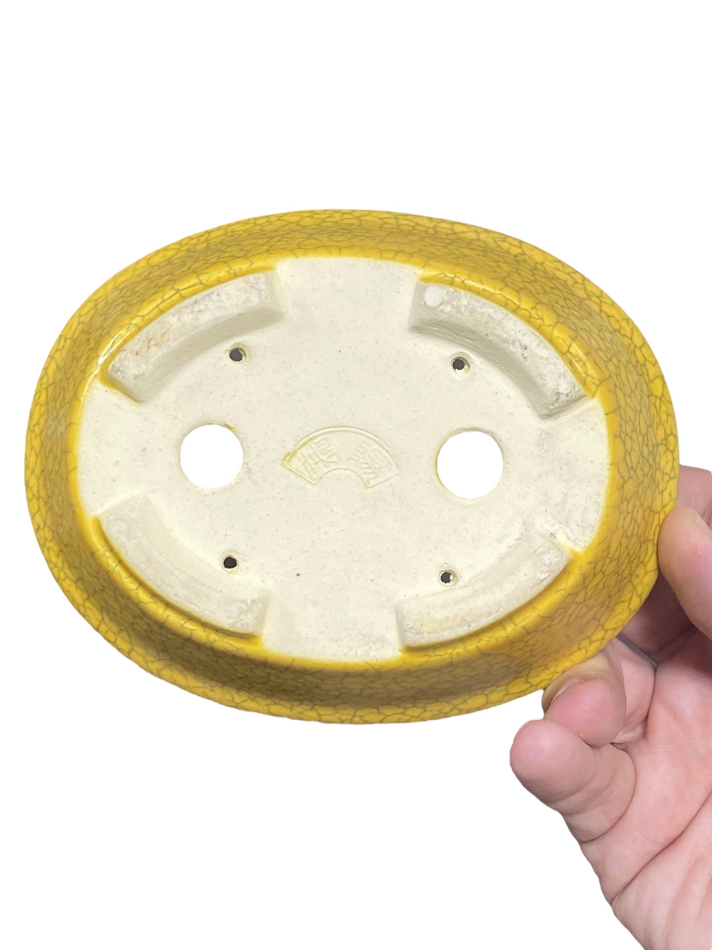 Koyo - Yellow Crackle Glazed Oval Bonsai Pot