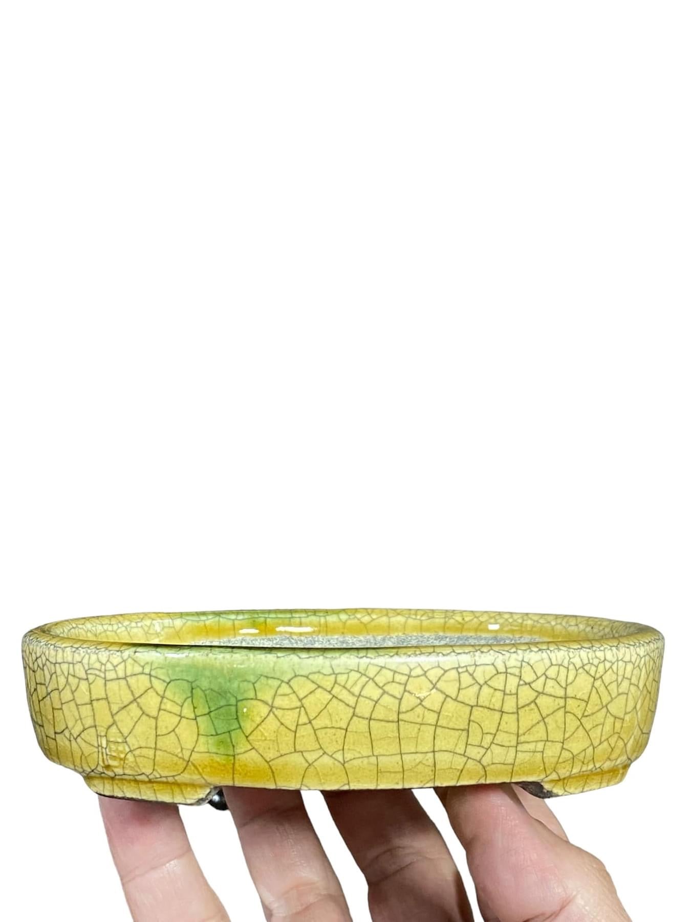 Satomi Terahata - Crackle Glazed Oval Bonsai Pot (5-9/16” wide)