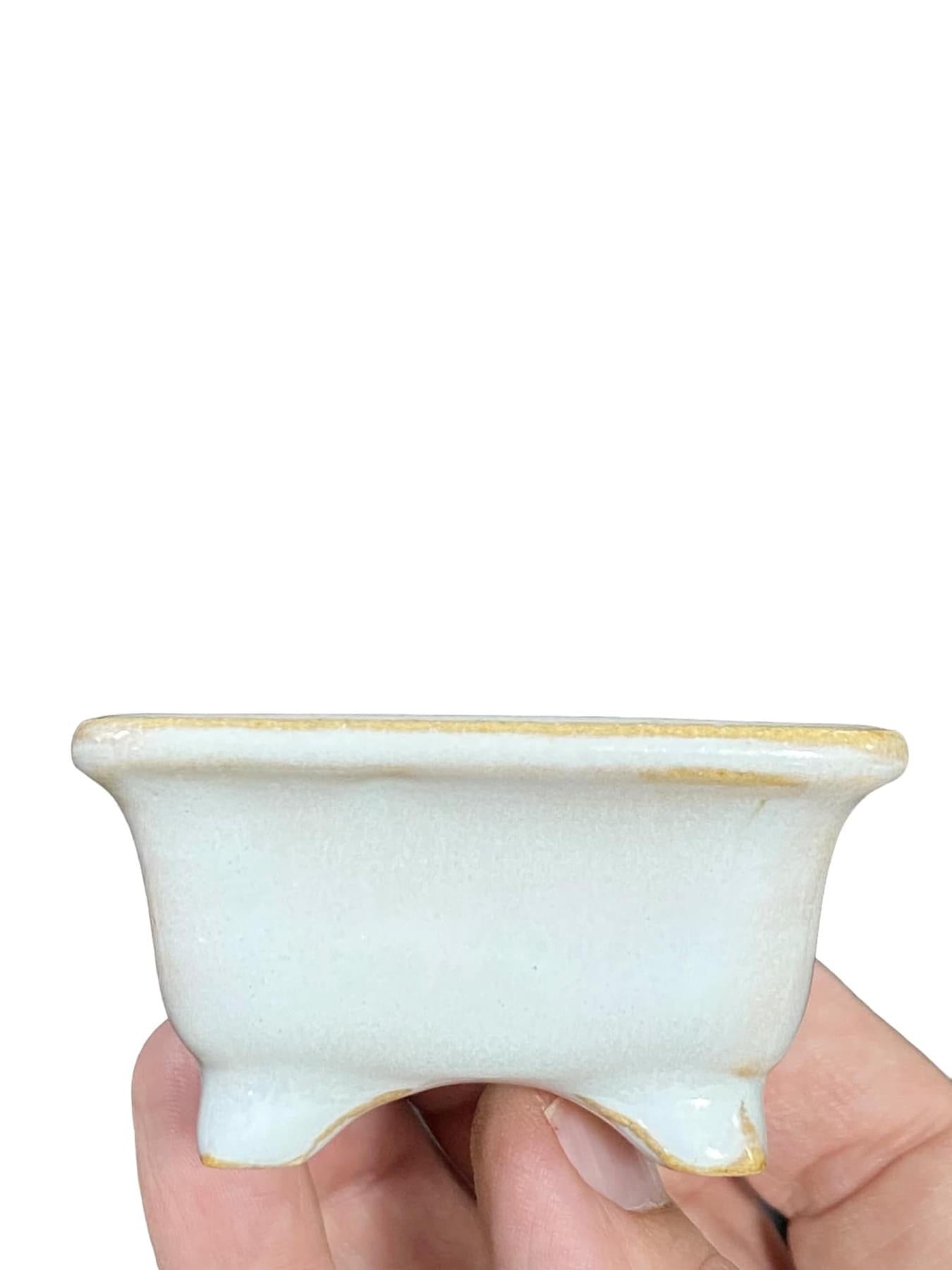 Shozan - Glazed Footed Rectangle Bonsai Pot (3-3/16” wide)