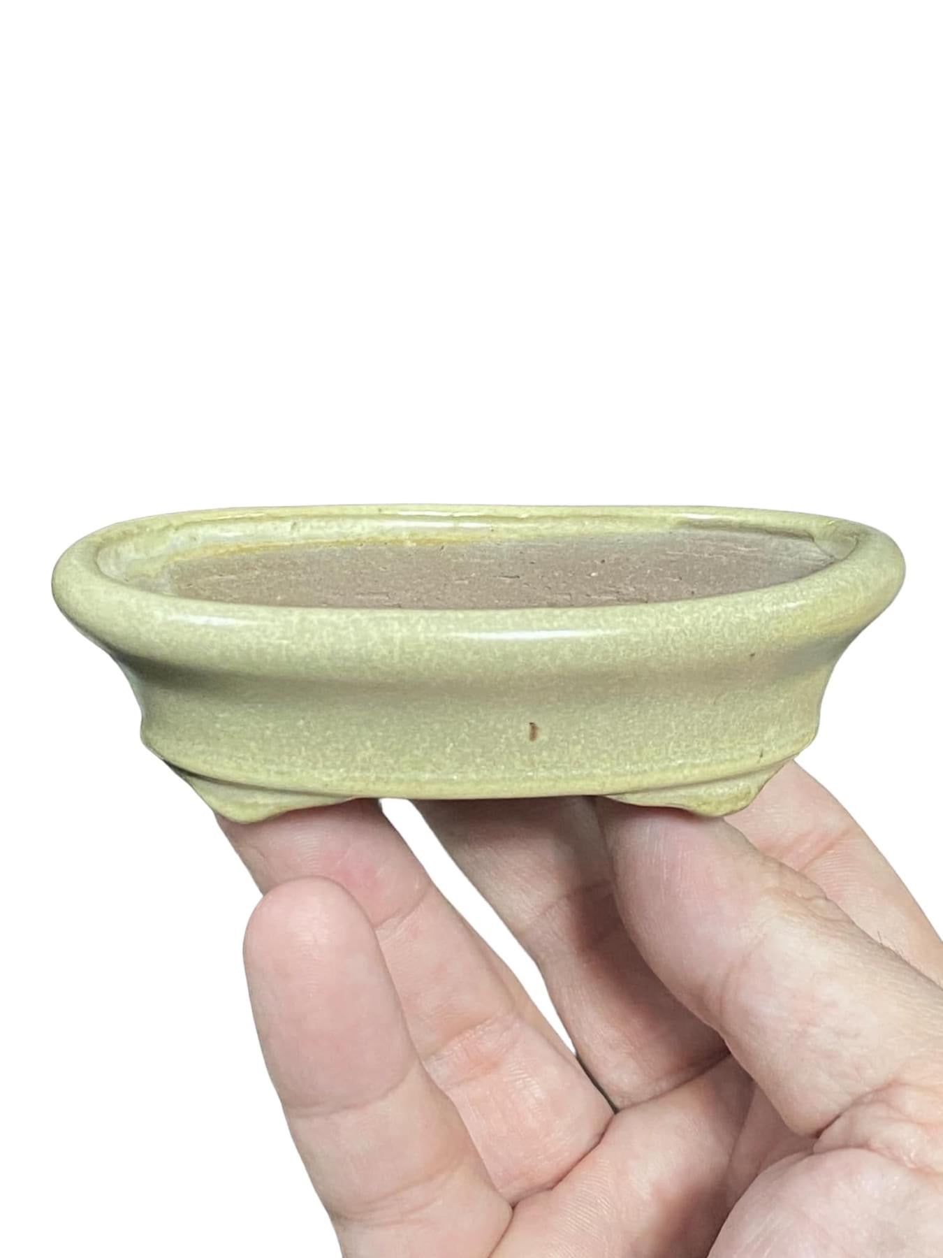 Shibakatsu - Cream Glazed Oval Style Bonsai Pot