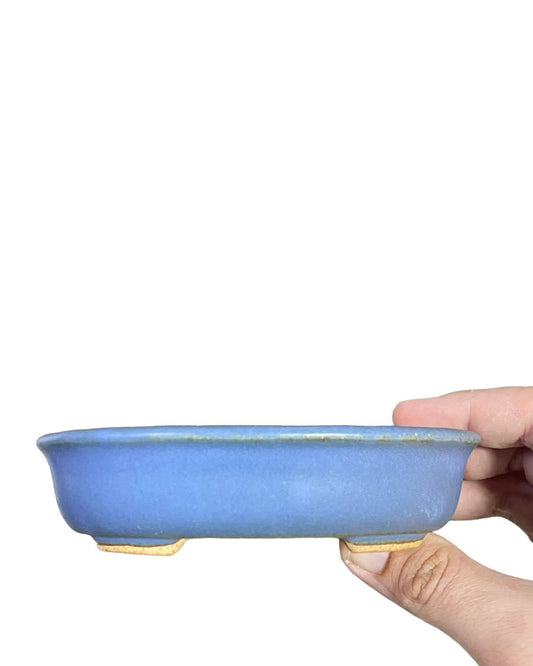 Hattori - Light Blue Glazed Oval Bonsai Pot (5-1/2” wide)