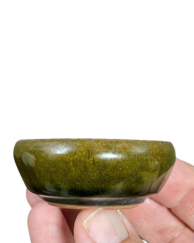 Hikari - Glazed Mame Round Bonsai Pot (2-5/16” wide)