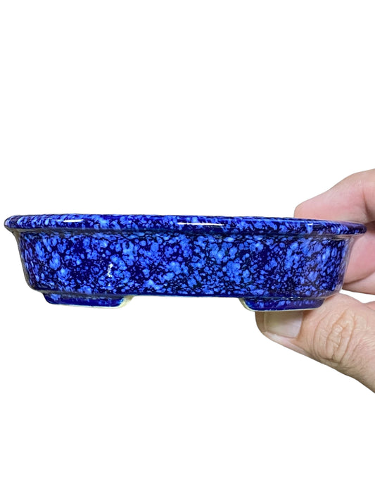 Koyo - Blue & White Glazed Shohin Oval Bonsai Pot (4-3/4" wide)