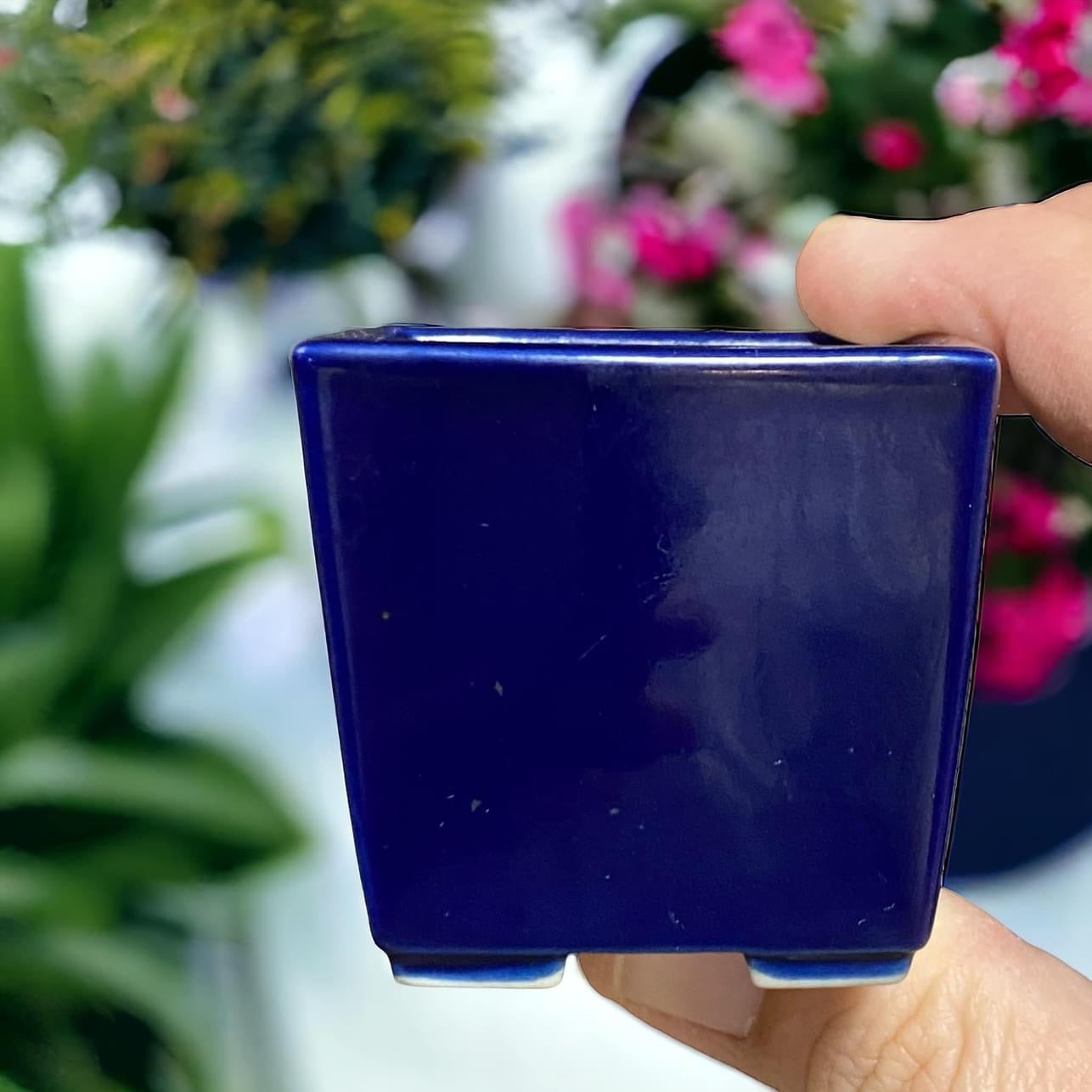 Juetsu - Absolutely Brilliant Blue Glazed Bonsai Pot (2" wide)