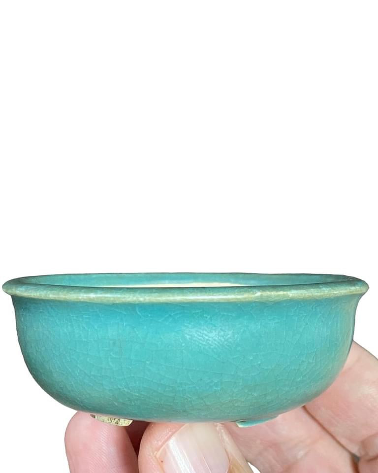 Ume - Lovely Teal Crackle Glazed Bonsai Pot (3-1/16” wide)