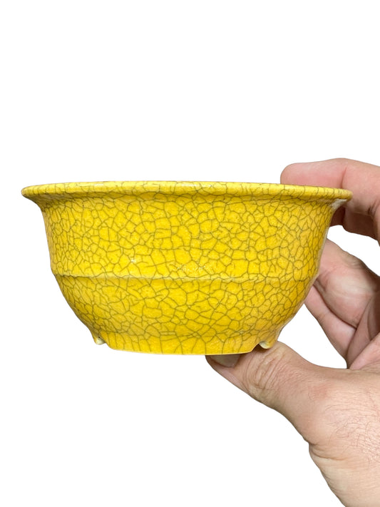 Koyo - Yellow Crackle Glazed Bowl Bonsai Pot (5-1/4" wide)