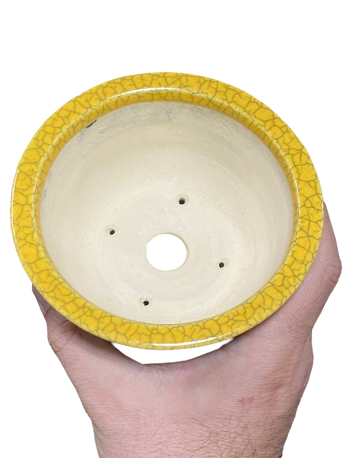 Koyo - Yellow Crackle Glazed Bowl Bonsai Pot