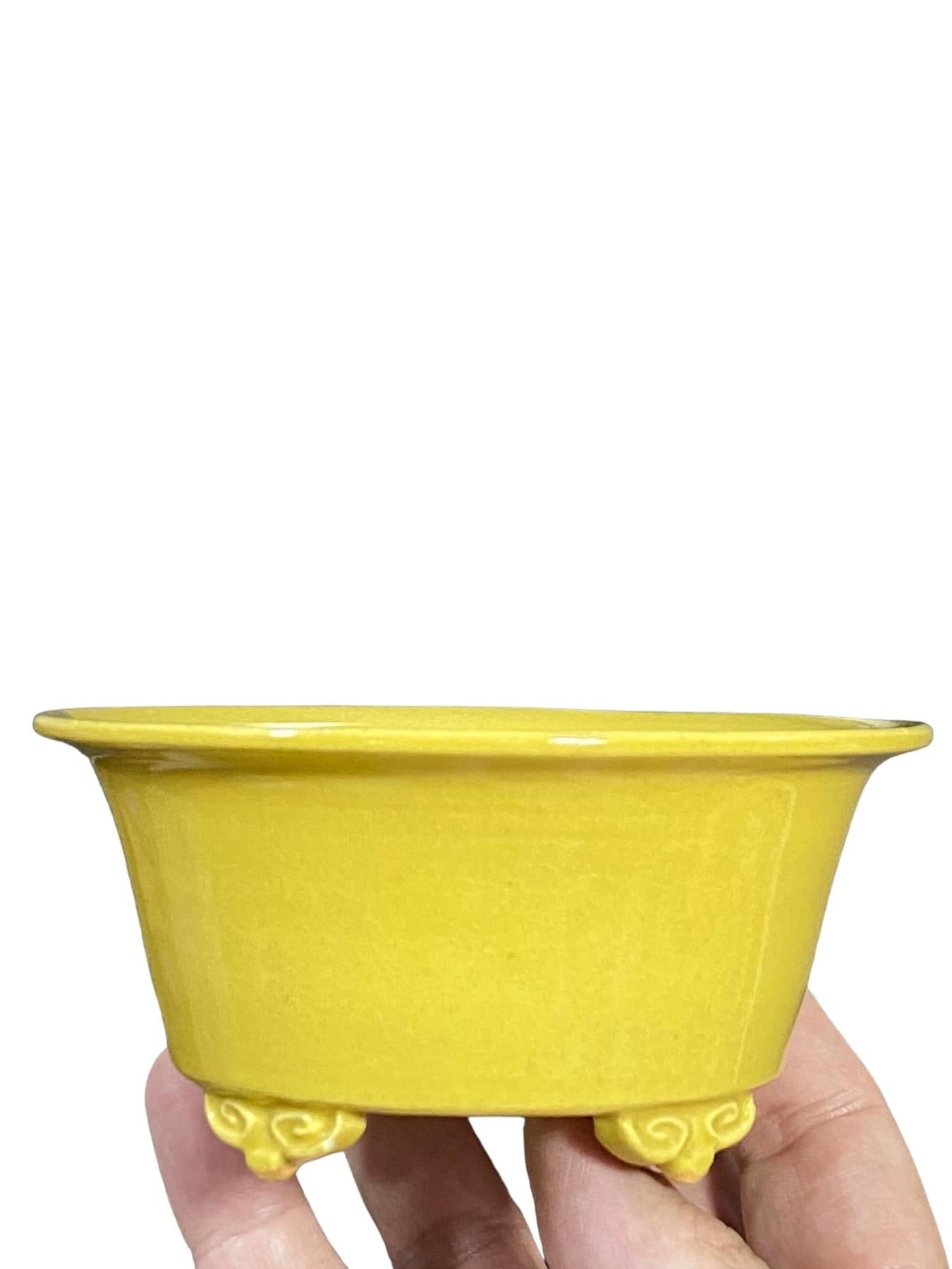 Kiyoshi Kiowai “Fuka” - Yellow Glazed Bonsai Pot (4-11/16” wide)