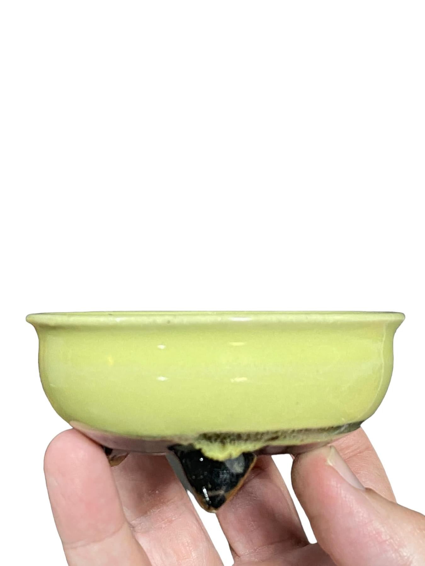 Heian Kosen - Glazed Footed Bowl Bonsai Pot