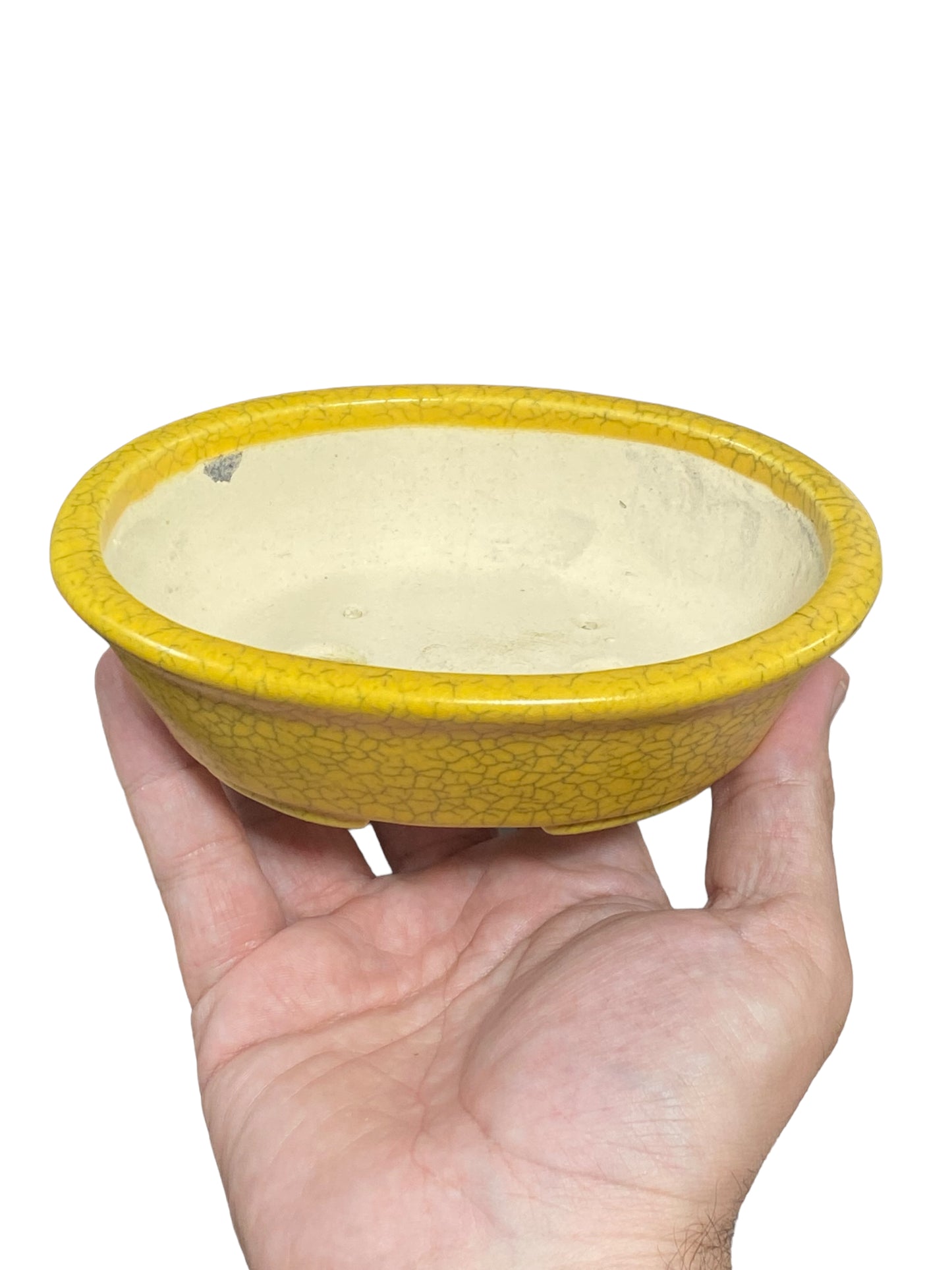 Koyo - Yellow Crackle Glazed Oval Bonsai Pot