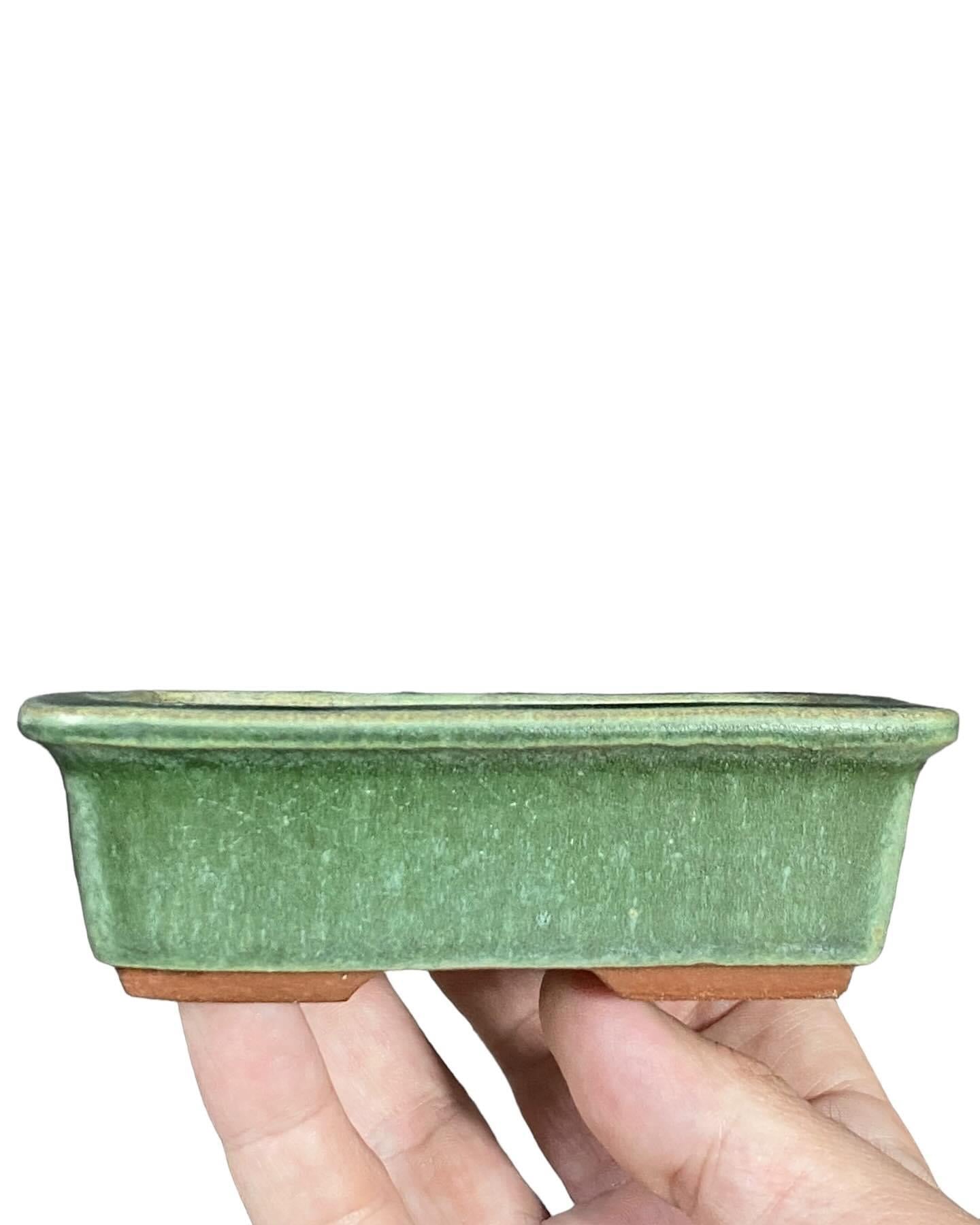 Eimei - Classic Green Glazed Bonsai Pot (4-7/8” wide)