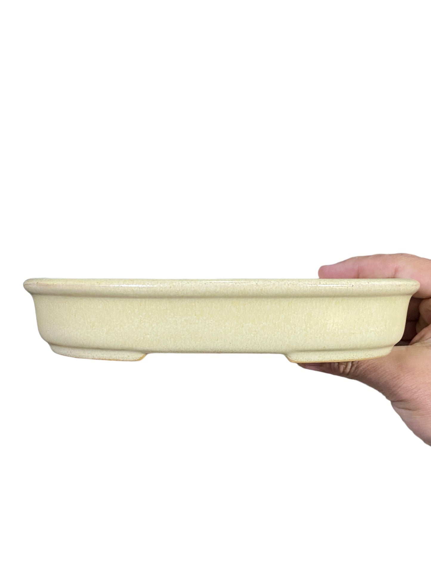 LoveBonsai Glazed Cream Oval Bonsai Pot (8-1/2” wide)