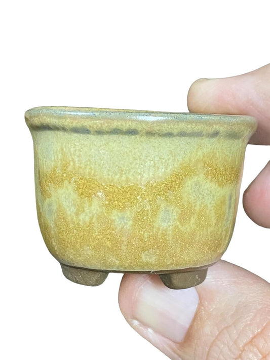 Japanese - Yellow Glazed Round Bonsai Pot from Japan