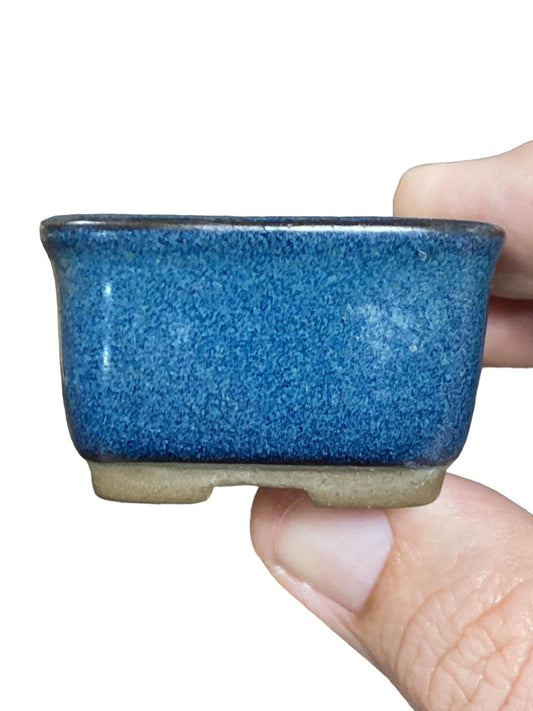Japanese - Blue Rectangle Style Bonsai Pot from Japan