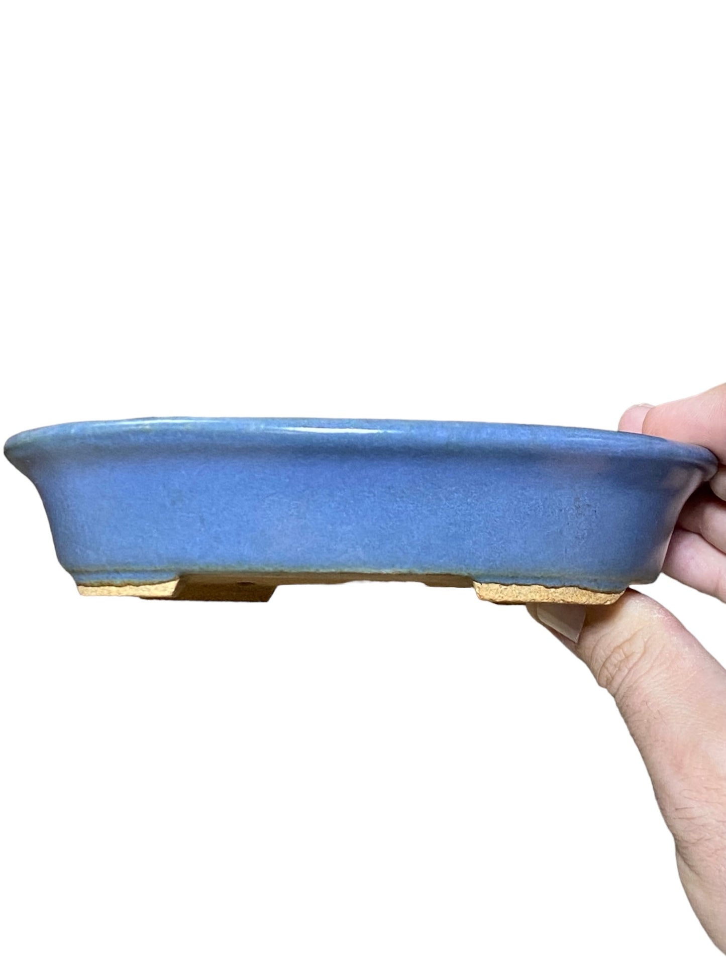 Hattori - Beautiful Blue Oval Bonsai Pot