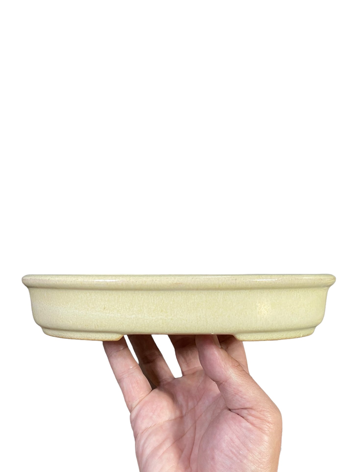 LoveBonsai Glazed Cream Oval Bonsai Pot (8-1/2” wide)