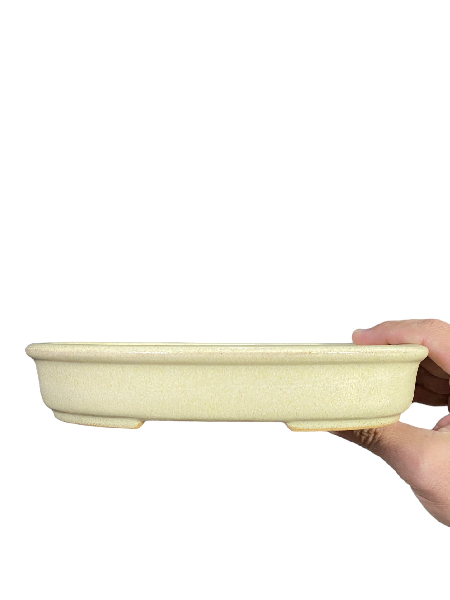 LoveBonsai Glazed Cream Oval Bonsai Pot (8-1/2” wide)