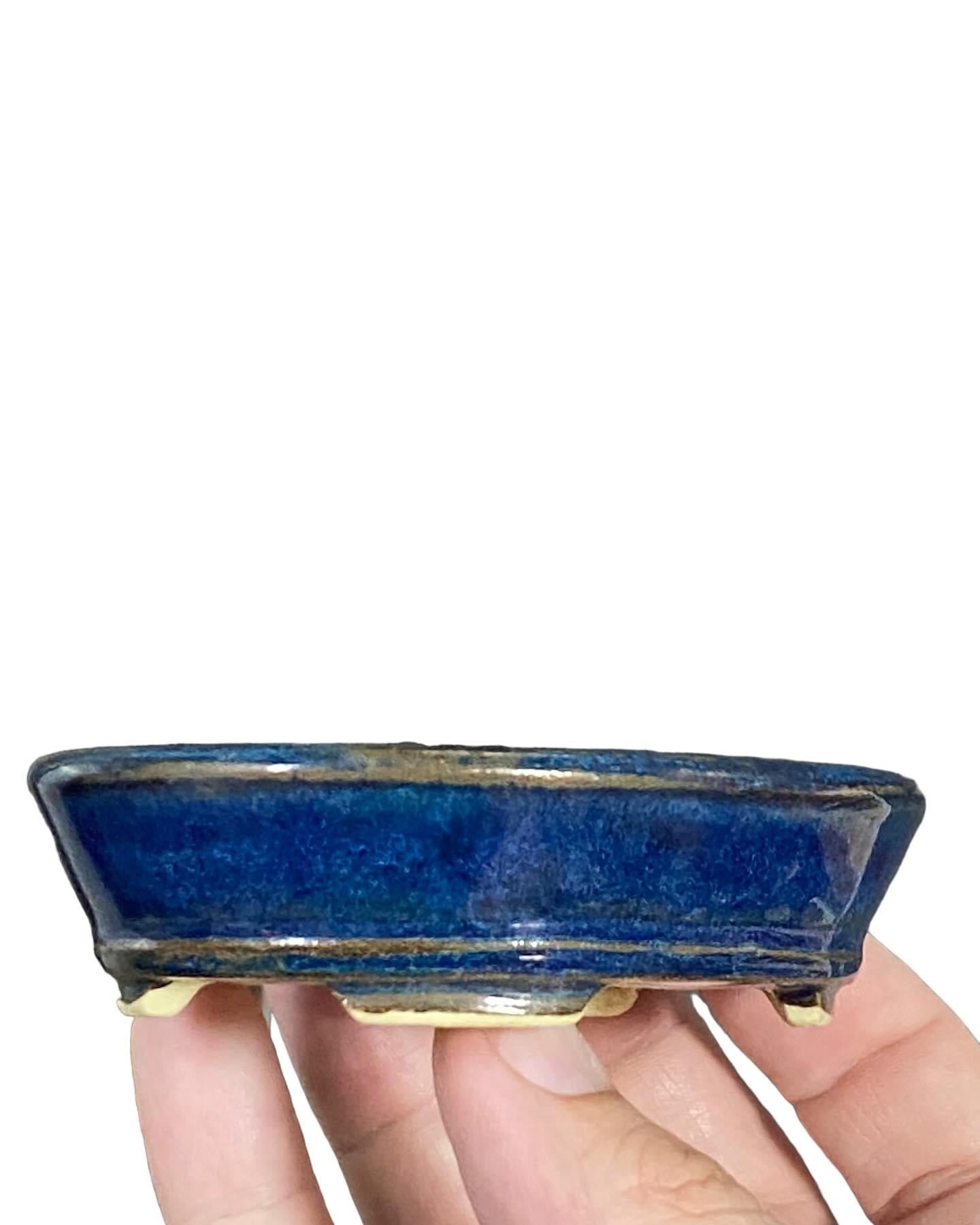 Dokou - Rich Blue Oval Bonsai or Accent Pot (3-5/16” wide)