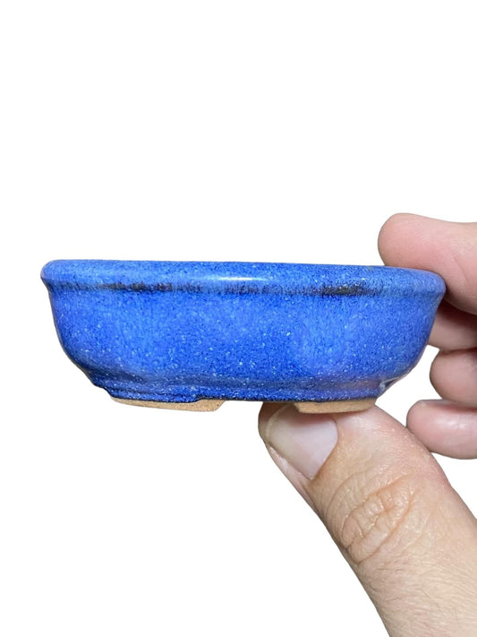 Blue Glazed Mame Oval Bonsai Pot from China (1" wide)