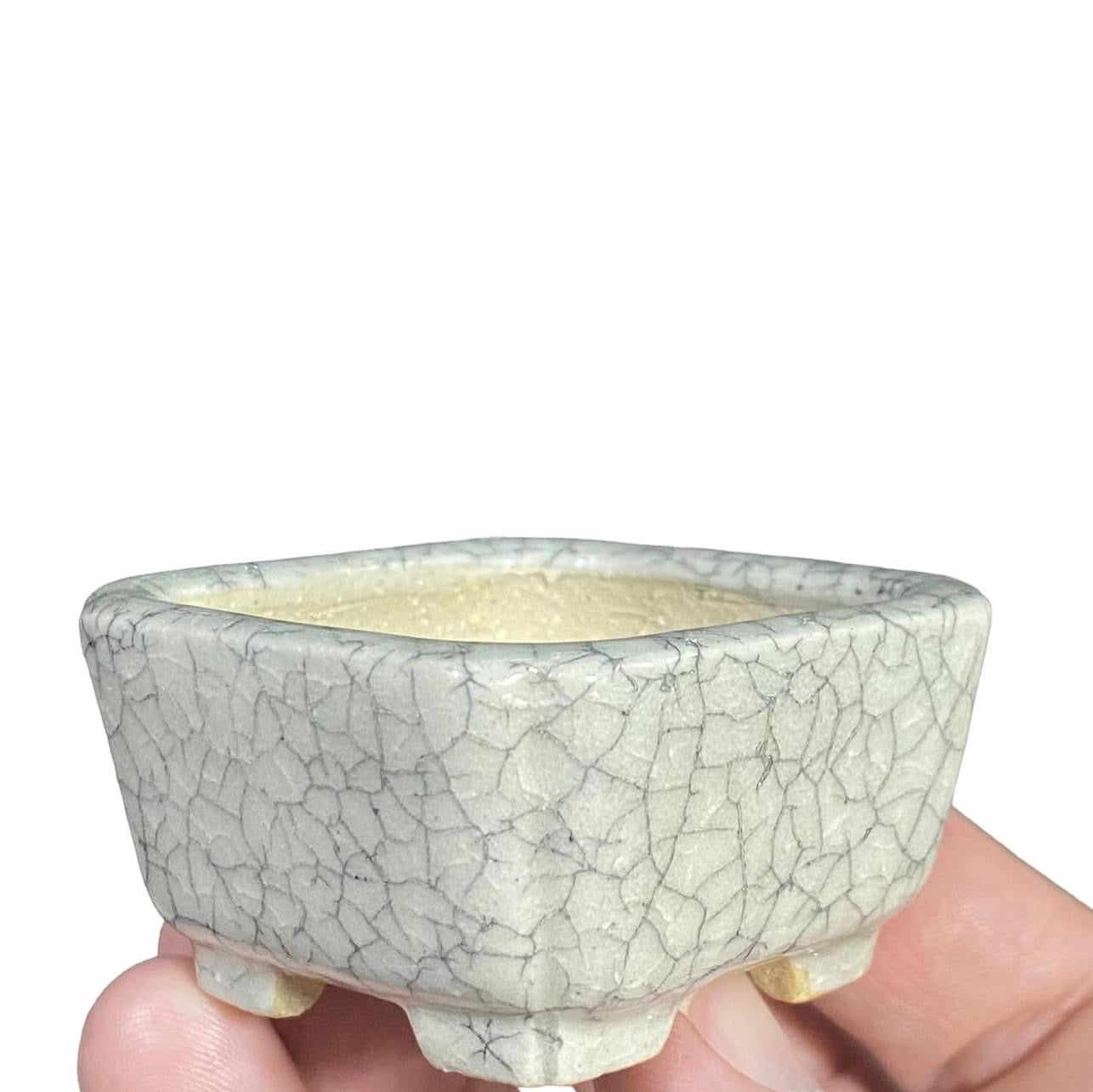 Shibakatsu - Exhibition Quality Crackle Glazed Bonsai Pot (2-3/16” wide)