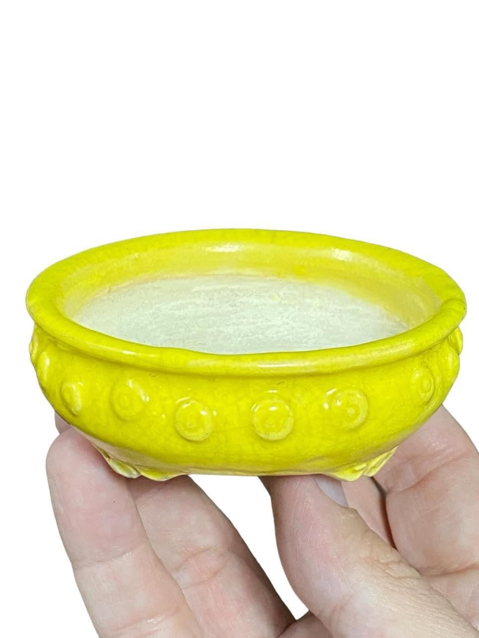Masashi - Rare Footed Bowl Bonsai or Accent Pot